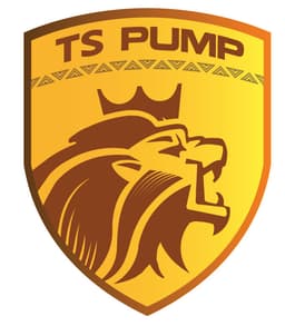 CÔNG TY TNHH CHẾ TẠO BƠM TS