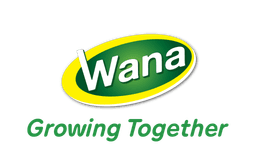 CÔNG TY CP NƯỚC GIẢI KHÁT WANA