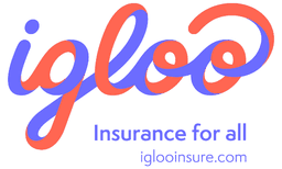 CÔNG TY TNHH IGLOO VIỆT NAM