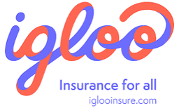 CÔNG TY TNHH IGLOO VIỆT NAM